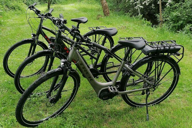 Guided eBike Tour - Killaloe and the Lough Derg Shore - Stop 2: Tuamgraney’s St Cronan’s Church and artisan breaks