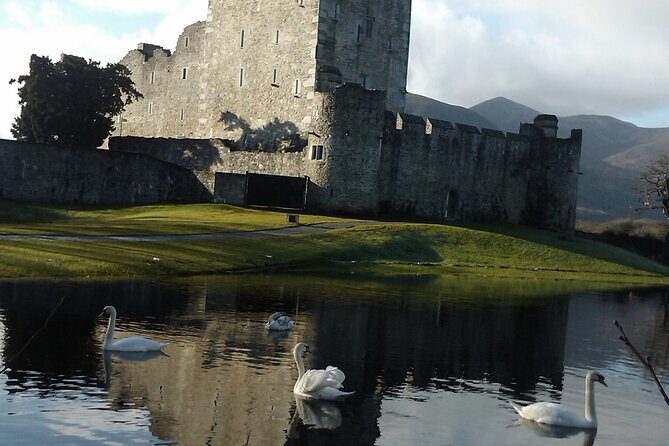 Guided Killarney National Park Walking Tour - St. Marys Cathedral and the stories that shaped Killarney