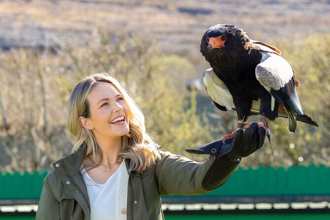 Guided Tour of Aillwee Cave and Visit to the Birds of Prey Centre - Key highlights