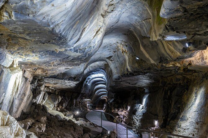 Guided Tour of Aillwee Cave and Visit to the Birds of Prey Centre - Birds of Prey Centre demos: timing, weather, and close encounters