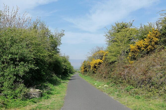 Guided Walking Tour in stunning county Waterford Ireland - The Paupers Mass Grave View and the Limits of Access