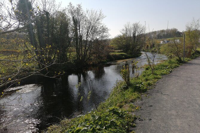 Guided Walking Tour in stunning county Waterford Ireland - Mindfulness Break #1: Flora and Fauna on the Greenway