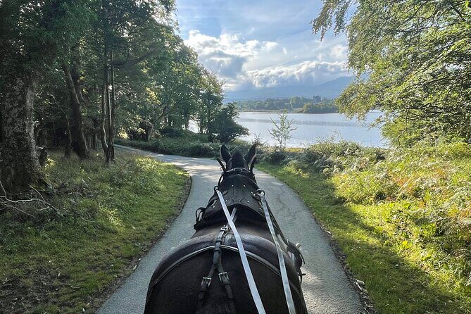 Horse-Drawn Carriage Tours in Killarney - Key Highlights You’ll Care About