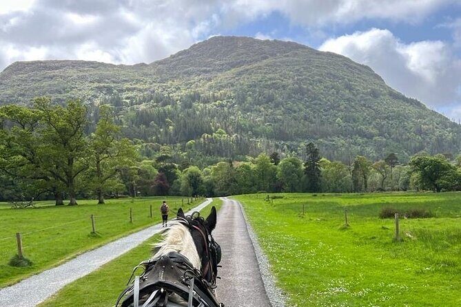 Horse-Drawn Carriage Tours in Killarney - A Horse-Drawn Carriage Ride That Feels Like Killarney at Human Speed
