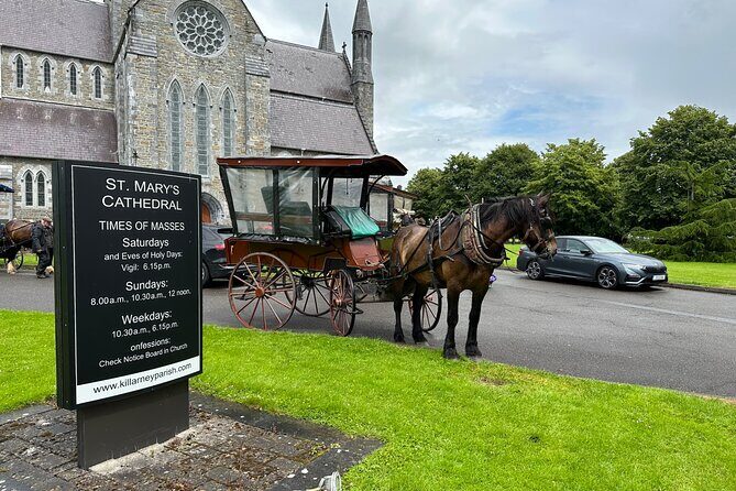 Horse-Drawn Carriage Tours in Killarney - The Route: From St Mary’s to Lakes of Killarney