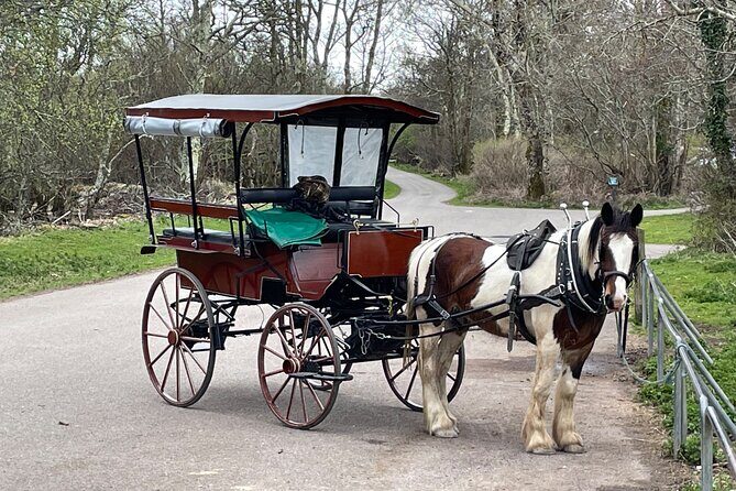 Horse-Drawn Carriage Tours in Killarney - Inisfallen Ruins: A Quick History Stop That Changes the Mood
