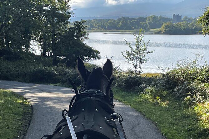 Horse-Drawn Carriage Tours in Killarney - Who This Tour Best Fits (and Who Might Skip It)