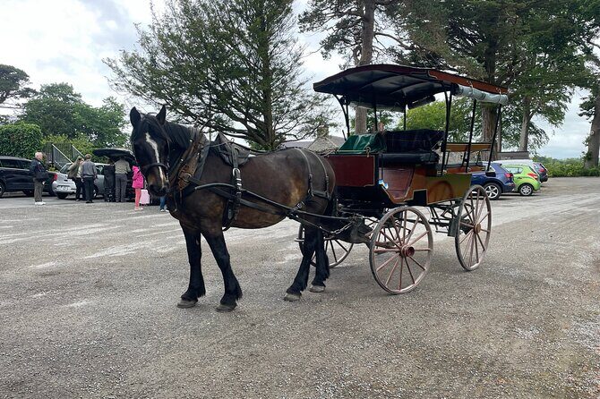 Horse-Drawn Carriage Tours in Killarney - Price and Value: What You’re Really Paying For