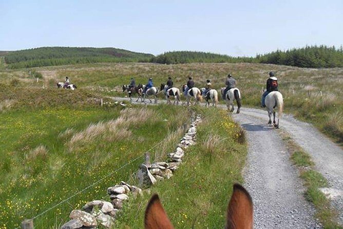 Horse riding - Burren Trail. Lisdoonvarna, Co Clare. Guided. 3 hours. - Burren Trail Horseback: what you’re really buying