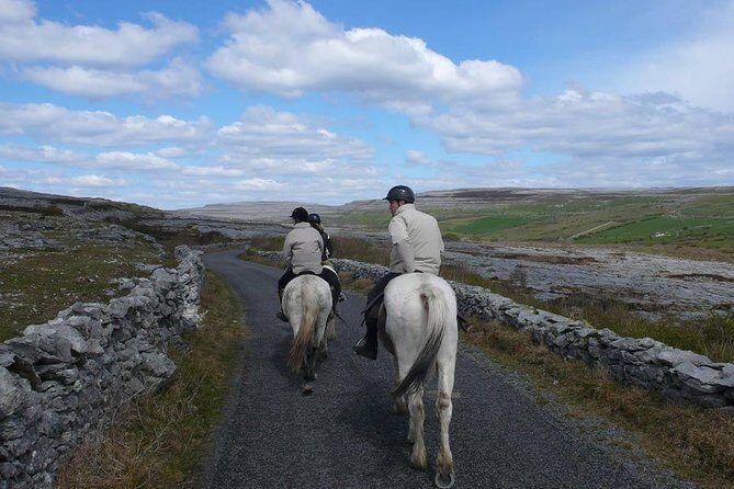 Horse riding - Burren Trail. Lisdoonvarna, Co Clare. Guided. 3 hours. - Where you meet: Mountain View Horse Riding Centre in Poulnagun