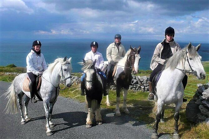 Horse riding - Dirt Trek Trail. Lisdoonvarna, Clare. Guided. 1 hour. - Where you meet: Mountain View Horse Riding Centre in Poulnagun