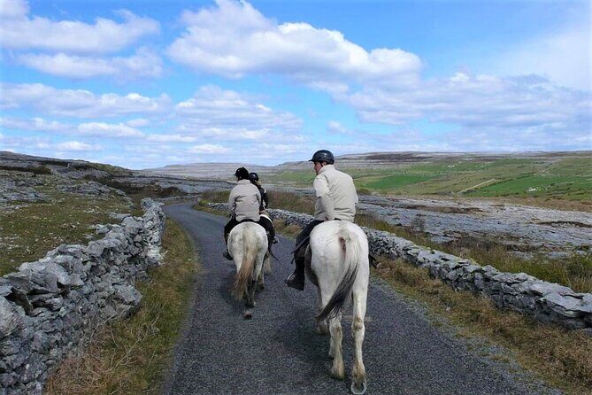 Horse riding - Dirt Trek Trail. Lisdoonvarna, Clare. Guided. 1 hour. - Panoramas from the saddle: Cliffs of Moher, Aran Islands, and Connemara