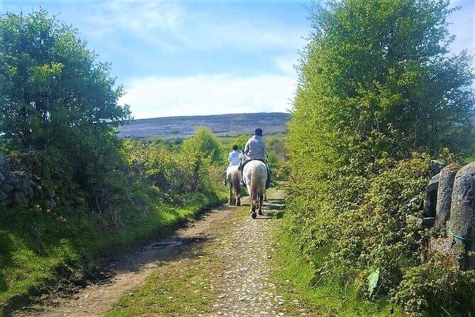 Horse riding - Dirt Trek Trail. Lisdoonvarna, Clare. Guided. 1 hour. - Horses, gear, and safety: what’s provided and what to think about