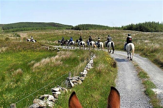 Horse riding - Dirt Trek Trail. Lisdoonvarna, Clare. Guided. 1 hour. - Price and what you’re really paying for
