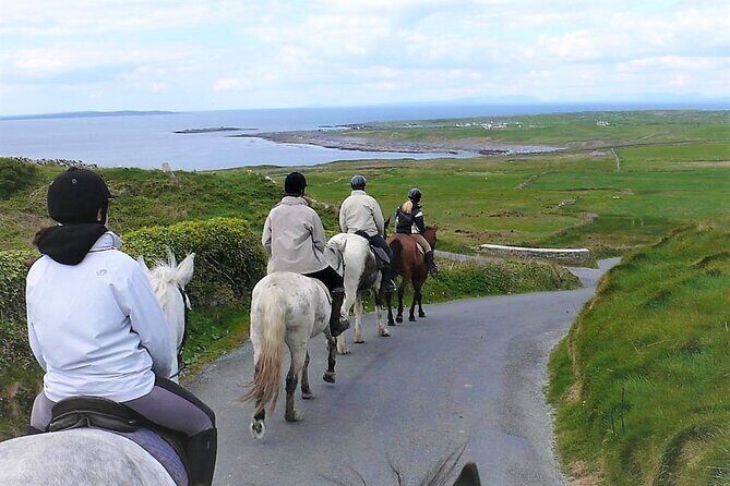 Horse riding - Dirt Trek Trail. Lisdoonvarna, Clare. Guided. 1 hour. - The 1-hour route: woodlands, famine ruins, and working your way to the views