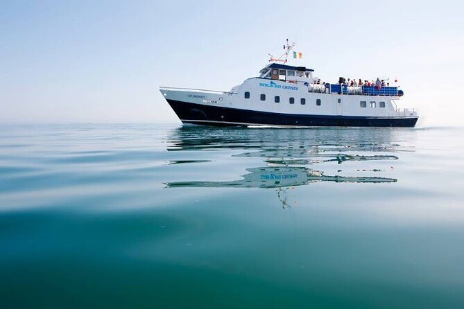 Howth - Howth Cliffs & Ireland's Eye 1 hour Tour - Ireland’s Eye: Wildlife Views, Plus the Distance Reality Check