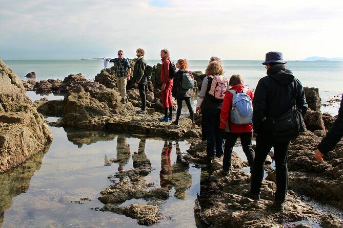 Howth Safari Hiking Tour - Breakfast that matters: scones, tea, and getting your bearings fast