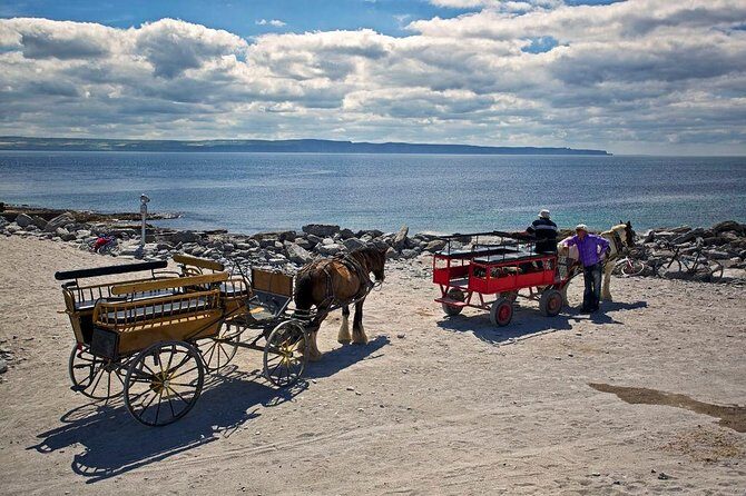 Inis Mór (Aran Islands) Day Trip: Return Ferry from Rossaveel, Galway - Getting around: bikes, hop-on options, and pony drivers