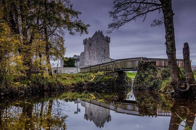 Innisfallen Island - Scenery & history of Killarney National Park - Innisfallen Island: early monastic settlement in the middle of Lough Leane