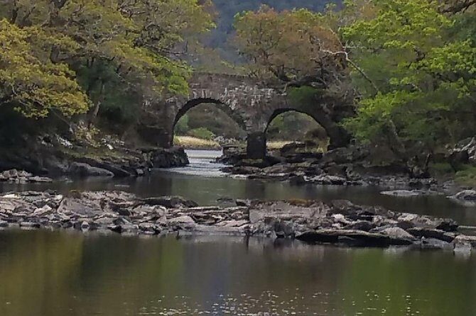 Innisfallen Island - Scenery & history of Killarney National Park - The 25-minute perimeter walk: short effort, big payoff