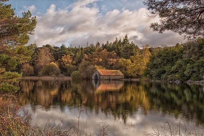 Innisfallen Island - Scenery & history of Killarney National Park - Nature moments you might catch on the island