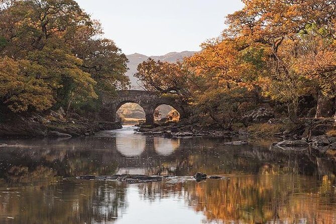 Innisfallen Island - Scenery & history of Killarney National Park - The boat segment: why the ride matters, not just the destination