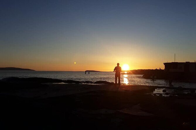 Instant Galway 60 min Walking Tour - Price and value: $24.08 for a fast history orientation