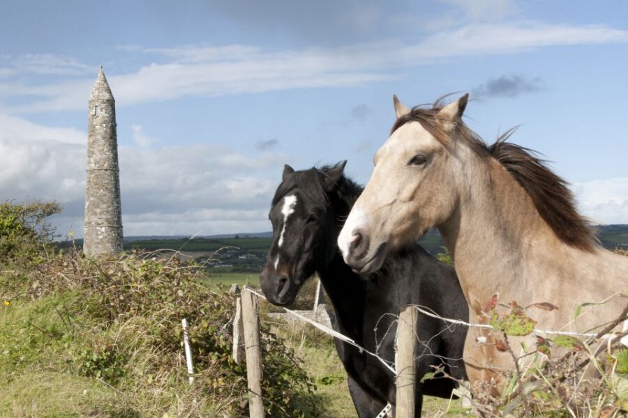 Ireland: Blarney Castle, Kilkenny & Irish Whiskey 3-Day Tour - Kilkenny After Dark: Why This City Works as a Base