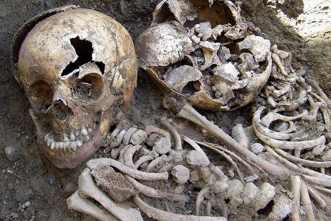 Irish Famine Museum / Exhibition Dublin - What You’ll See Inside: Artifacts, Photos, Newspapers, and One Surprising Object