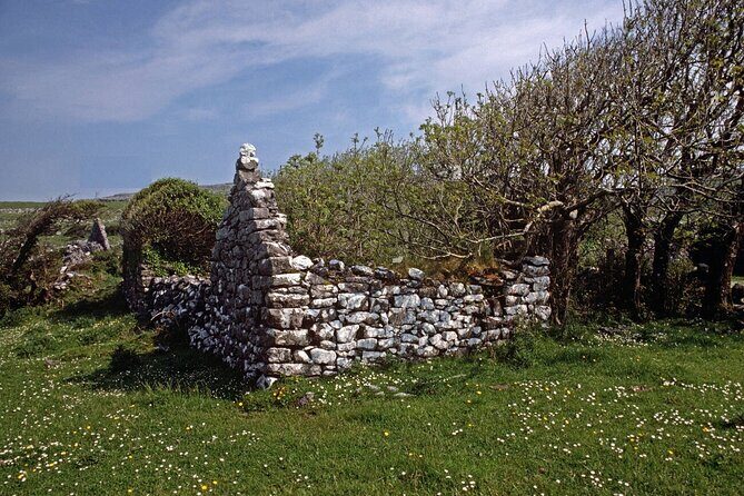 Irish Famine Museum / Exhibition Dublin - Should You Book This Irish Famine Museum Visit?
