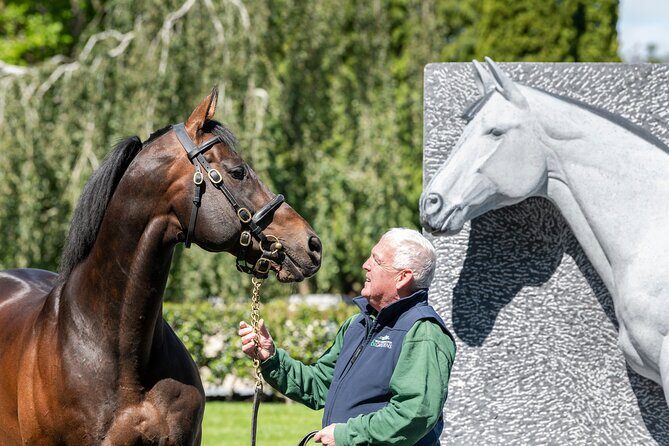 Irish National Stud & Gardens Skip the line Entrance - Horse visibility reality check: what to expect on your specific day