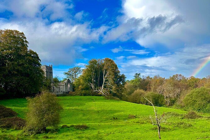 Jaunting Car Tour in Killarney National Park - Why the driver-guide storytelling changes the ride