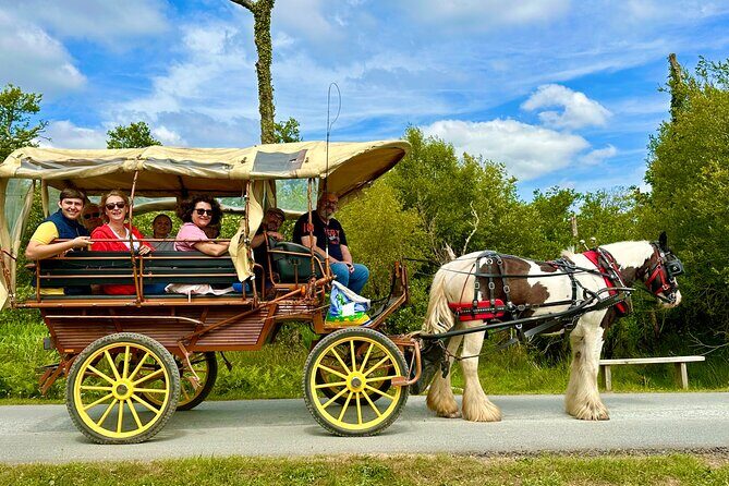 Jaunting Car Tour in Killarney National Park - Price and value: is $66.54 per person worth it?