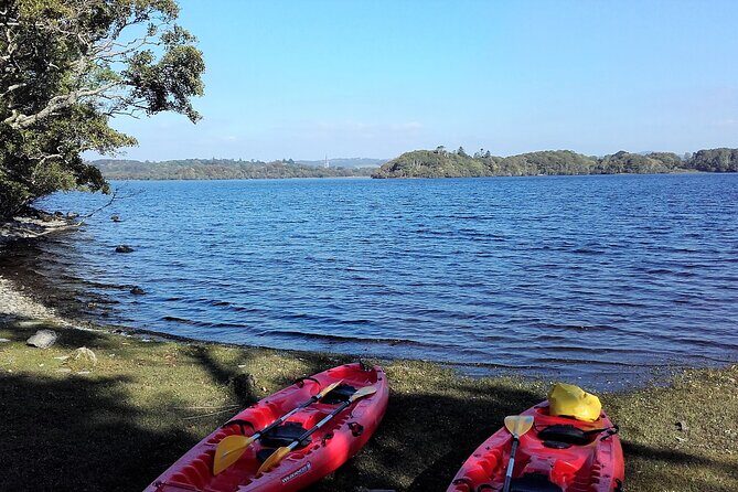 Kayak to Innisfallen island. Killarney. Guided. 2½ hours. - Landing at Innisfallen Island: Where the Abbey Ruins Make the Trip Worth It