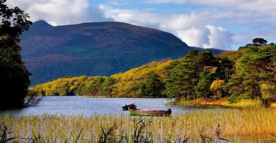 Kerry: Full-Day Tour from Dublin - Key points I think you’ll care about
