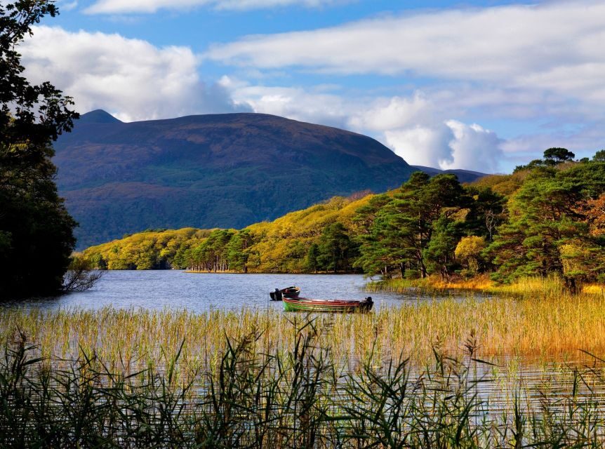 Kerry: Full-Day Tour from Dublin - Dingle Bay and the Wild Atlantic Way: where the road turns scenic fast