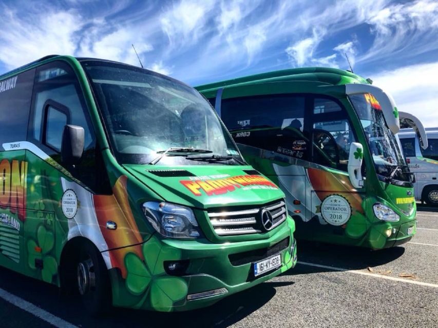Kerry: Full-Day Tour from Dublin - Why this Kerry day trip is popular for a first visit to the Ring