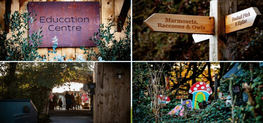 Kildare: Clonfert Farm General Admission Ticket - Entering the Site: Start at Admissions and Get Your Plan in 3 Minutes