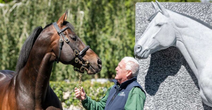 Kildare: Irish National Stud & Gardens - Why the Irish National Stud makes a great Kildare day trip