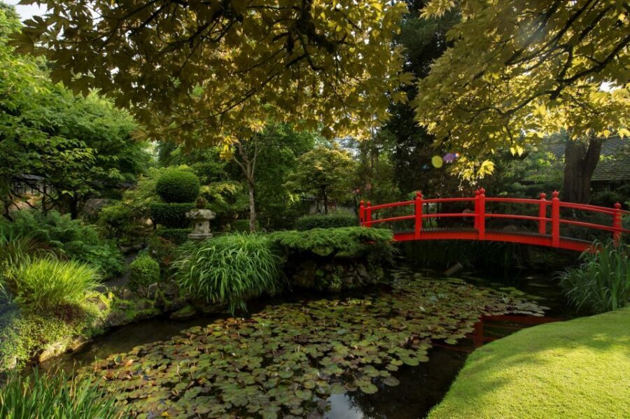 Kildare: Irish National Stud & Gardens - Living Legends: retired racehorse viewing you can actually enjoy