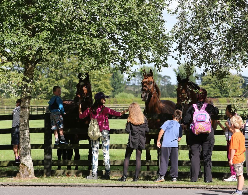 Kildare: Irish National Stud & Gardens - The Interactive Irish Racehorse Experience: yearling auction, race-day simulation, and a horse box