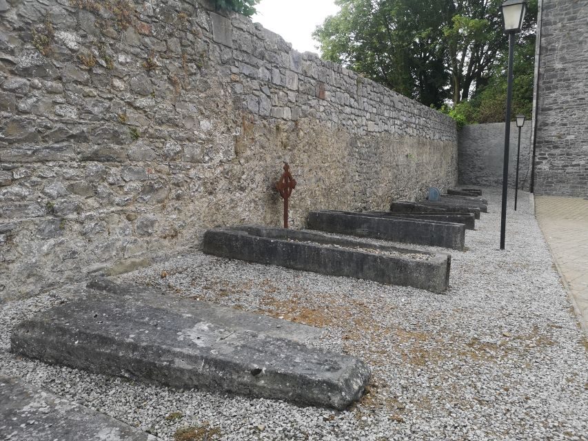 Kilkenny: Historical Highlights Walking Tour - Quick hits you’ll feel on the walk
