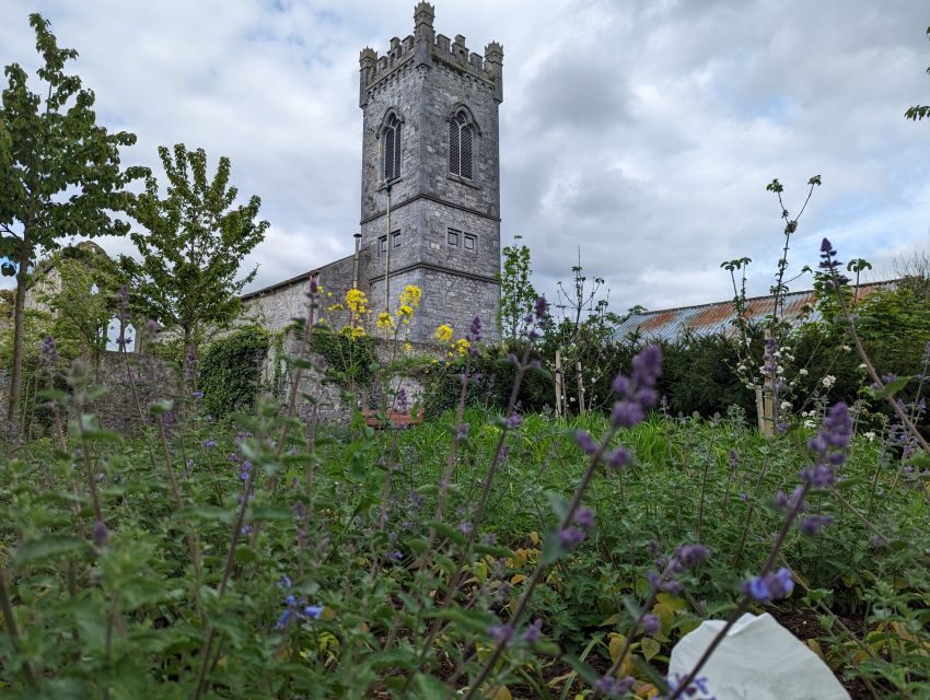 Kilkenny: Historical Highlights Walking Tour - Black Abbey, Kieran Street, and Parliament Street: quick looks you can build on