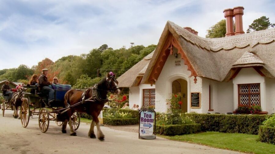 Killarney: 1-Hour Jaunting Car Horse and Carriage Tour - A One-Hour Jaunt Through Killarney’s No-Car National Park Areas