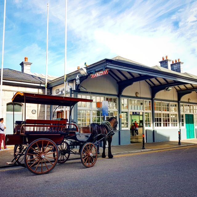 Killarney: 1-Hour Jaunting Car Horse and Carriage Tour - St. Mary’s Cathedral Spire and Town-to-Park Transitions