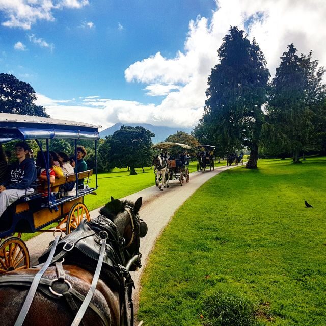 Killarney: 1-Hour Jaunting Car Horse and Carriage Tour - Weather-Ready Rides: Blankets, Waterproof Covers, Umbrellas
