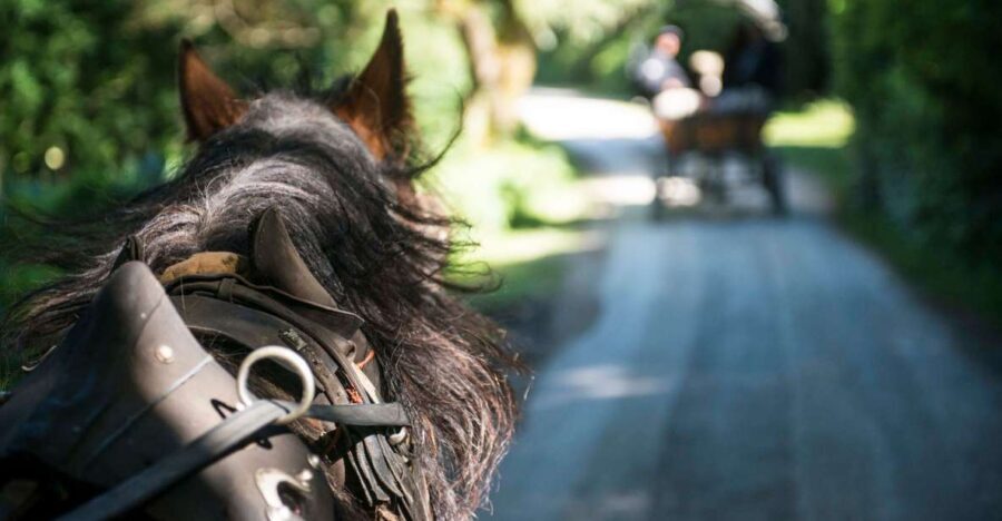 Killarney: 1-Hour Jaunting Car Horse and Carriage Tour - Who This Tour Fits Best (And Who Might Skip It)