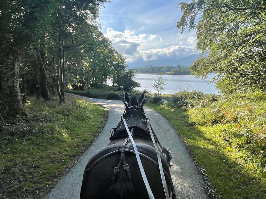 Killarney Carriage Tours National Park and Lakes - Quick hits before you go