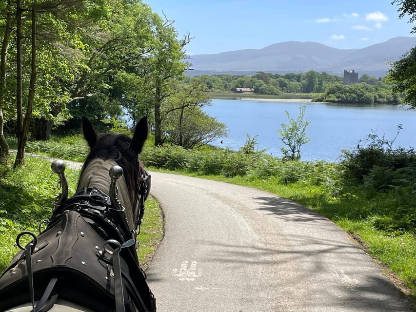 Killarney Carriage Tours National Park and Lakes - Entering Killarney National Park by Horse-Dra wn Comfort