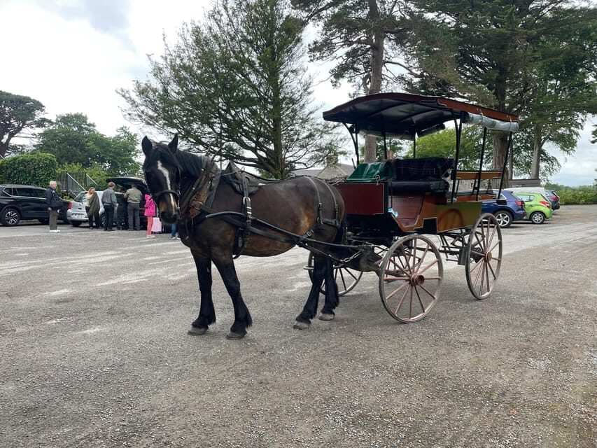 Killarney Carriage Tours National Park and Lakes - Stop-by-Stop: St Mary’s Cathedral to the Lakes of Killarney